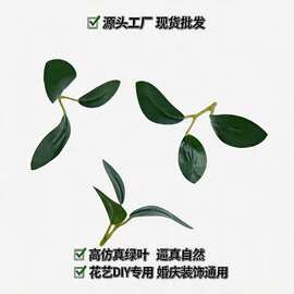 仿真富贵叶榕叶配件 跨境热卖玉兰叶 仿真绿植盆景花束配叶批发