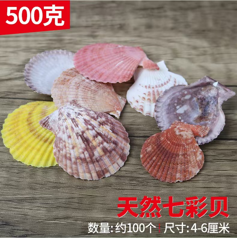 다채로운 조개 (킬로그램)
