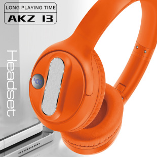 AKZ-13�羳˽ģ�¿�o���^��ʽ�{�����C������@�^���m���L���ۯB