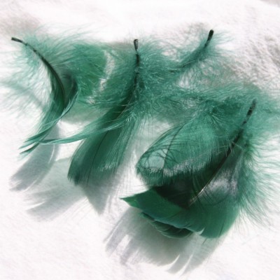 다크 그린 (100 루트 배치)