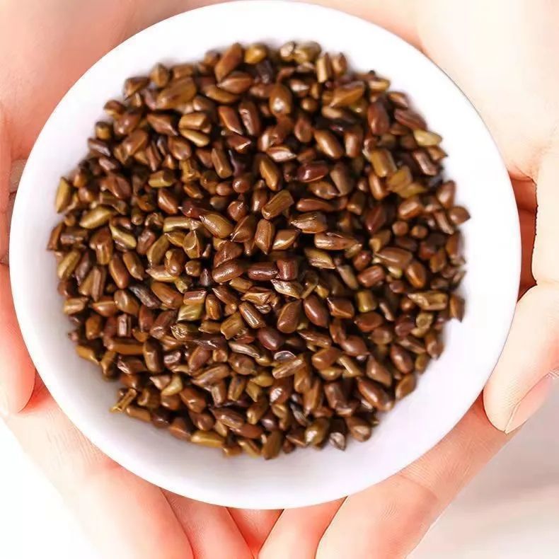 Cassia Seed 500g Jue Ming Zi Dried Herbal Tea Bulk Decoction Pieces specifications