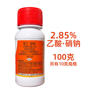 ���������� ���c���ҏ������c�����r�����L�{������ �������c