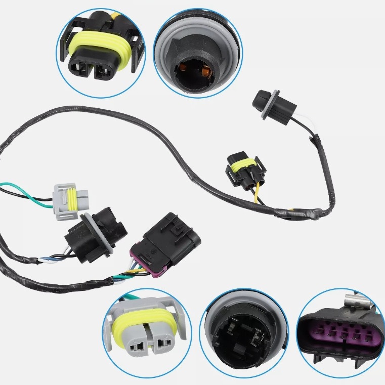 2024-05-31 15:18:19.jpg