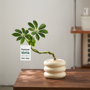 �˷���ؔ���_ľ�������~ɏ�Gֲ�҃�����ֲ��С�辰�ļ�������ؔ��