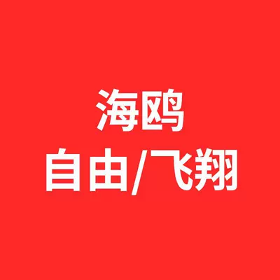 Car paint protective film, Dolphin GT navigation protection, Seal - applicable-to-seagull-freeflying-edition-25-models-other