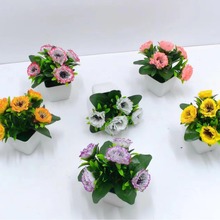 ����õ�廨���� �����ٻ�����Gֲ���Ի��҃��k���ҾG���b���