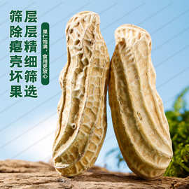当季新货云南七彩花生批发带壳20斤咸干花生新鲜原味营养坚果零食