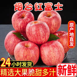 山东烟台苹果栖霞水晶红富士当季新鲜吃的水果甜脆一整箱批