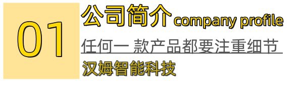 1.公司简介