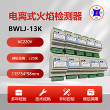 BWLJ-13K石油化工厂电离式火焰检测装置使用的注意事项