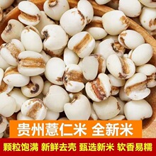 ��؛�F���r�Ҵ�޲����޲���ʿ��Ҝ������s�Z��ּZ�����