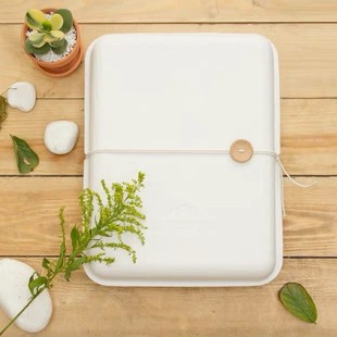 Paper pulp box packing box clothes gift box pulp molding fully degradable bagasse box wet pressure process
