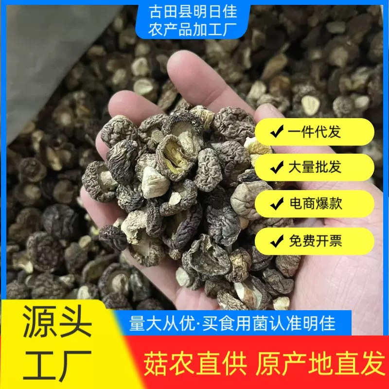 农家小香菇干货特小珍珠菇商用迷你小干香菇净重农家小蘑菇散装