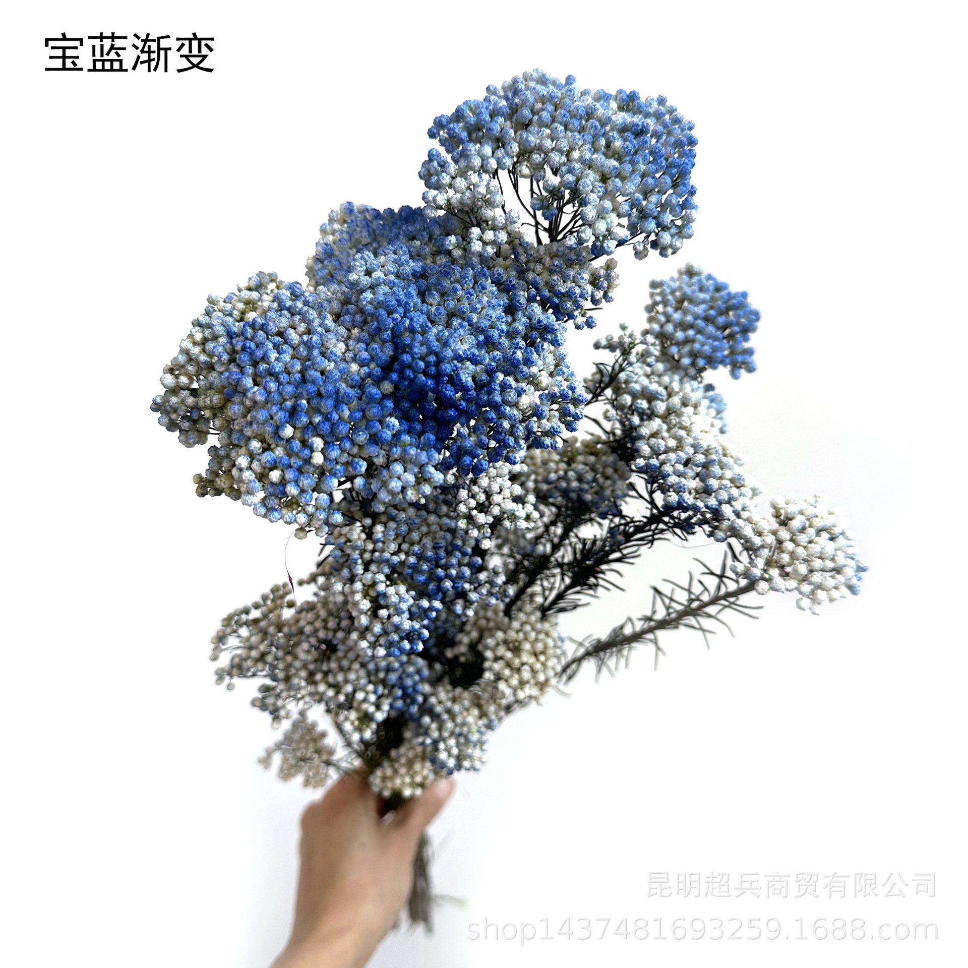 Dégradation de Baolan