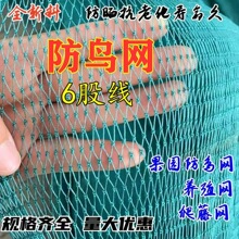 新料果园防鸟网大棚防鸟樱桃蓝莓草莓葡萄苹果梨树防鸟天网爬藤网