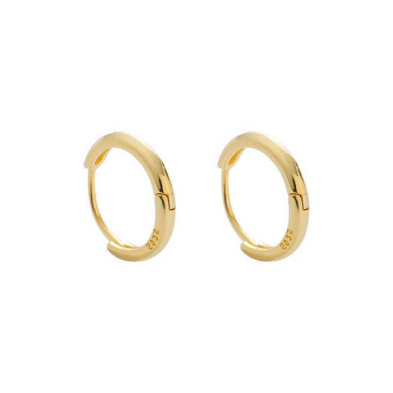 Elegant earrings