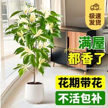 mm绨ֲ҃ͥԺGֲSm׻ļ_