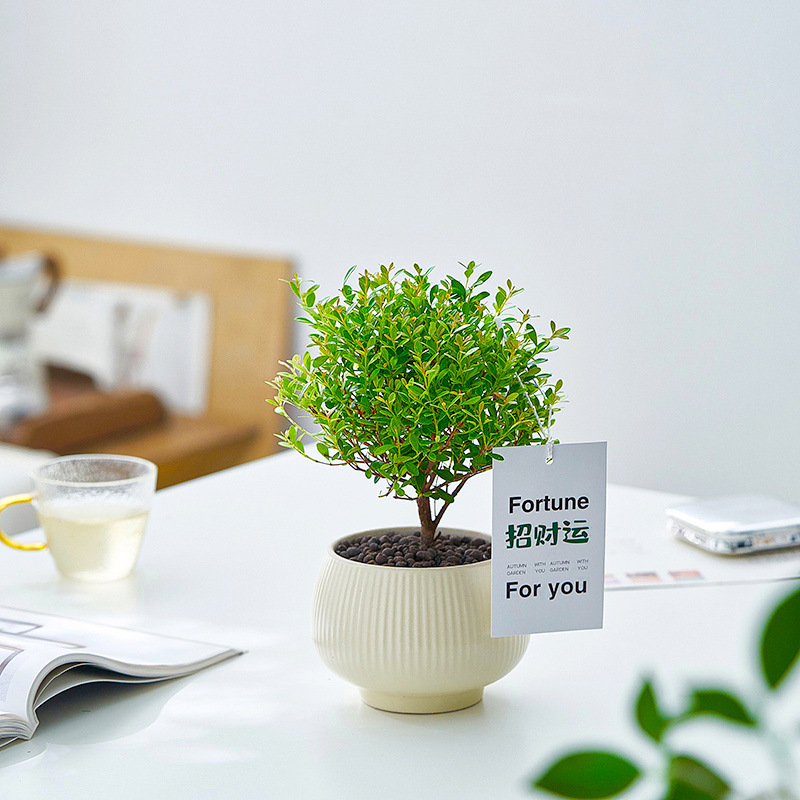 1af049e3-0e7d-478a-876c-a55ce7dd1770.jpe