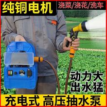 充电抽水泵便携充电式农用灌溉田园浇菜浇水机锂电小型抽水机外贸