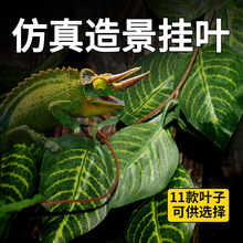 �ZĦnomo��N�b����쾰����ֲ�������������׃ɫ�������x������