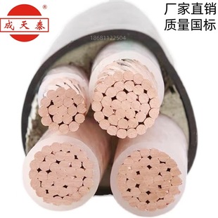 ̩늾|ZC-YJV22-3*300+1*150mm2zbȼ~о|