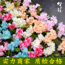 �S�����l�羳�Ҿ��b�c���滨��ɫ�ѻ����{���ٻ����Y�û��l