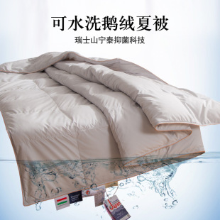 Five-Star Hotel Washable Duvet 95 White Goose down Air-Conditioned Summer Light Quilt Spring Autumn Winter Quilt Core