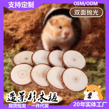 �}��\���쾰ɼľƬ��Ƥ�Aľ����ľ�[����������̨�A����ƽ̨���