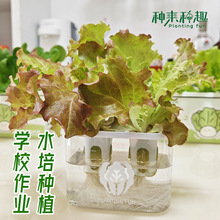 �W��ˮ���߲˷Nֲ�^�����I�׃��@�o���������ˮ������NֲС����