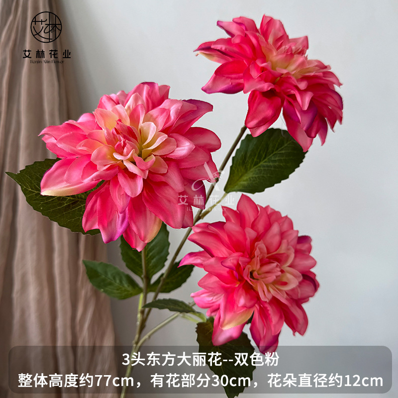 2색 파우더