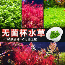 ˮݟo~ֲ쾰Բݸװţëˮײl