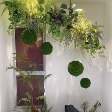 GֲA쾰MPDǼֲbW^