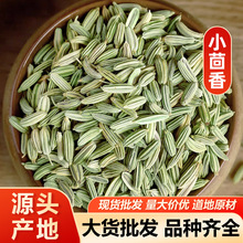 小茴香 茴香籽谷茴香小茴香料中药材小茴香包邮代磨粉量大从优