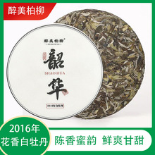 福鼎白茶 2016年陈香蜜韵花香白牡丹高山原产地厂家白茶批发白茶