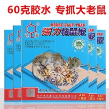 达豪A1#大猫王强力粘鼠板老鼠贴 匠心品质粘胶净含量60g硬板