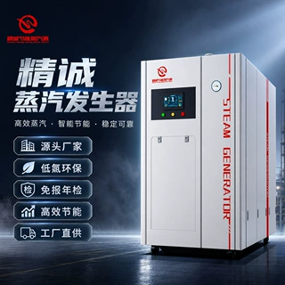 河北创思蒸汽源 燃气蒸汽发生器 按需定制 工业节能蒸汽锅炉