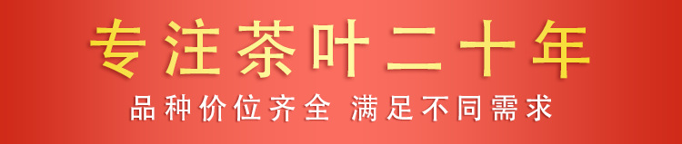 专注茶叶20年.png