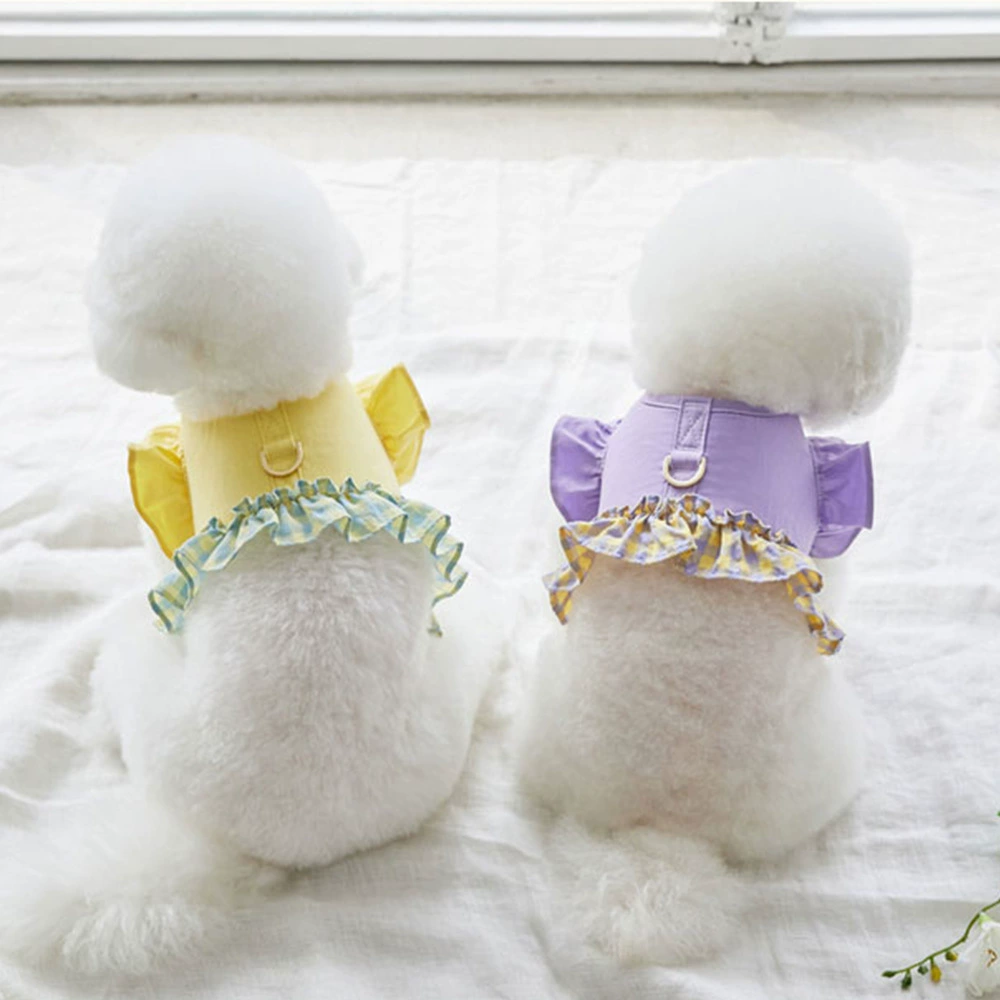 Собака поводок выгуливает собачью веревку