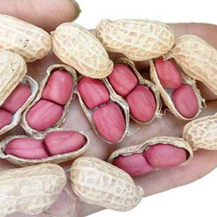 ������ʩ΢��tƤ����С��������20��؛�r�Ҹɻ������r���t��