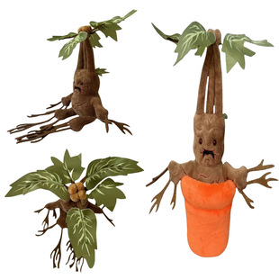 ���R�d���N�������� Mandrake ������������ë�q�������������ż