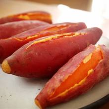 红署地瓜10斤甜红薯新鲜沙地蜜薯粉糯香心板薯西瓜红薯番薯批发价