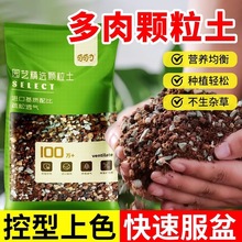 �����w��������ֲ��I�B���������ʯ�~�弃�w���Nֲ����ï�}