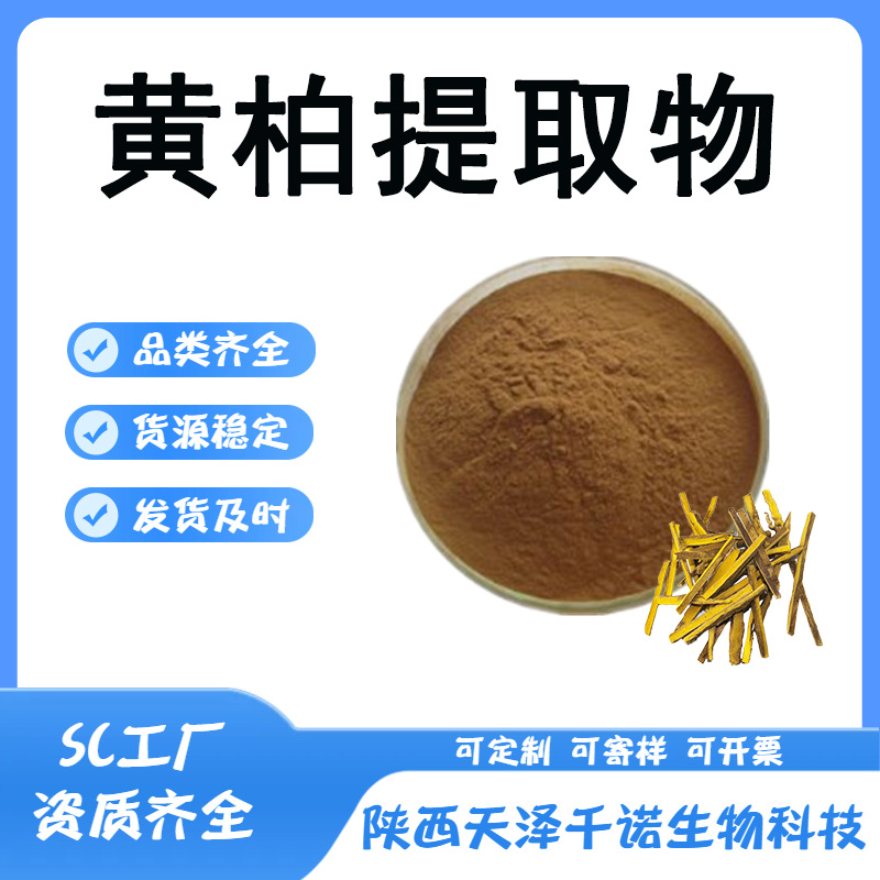 黄柏提取物 10:1 30:1盐酸小檗碱 黄柏碱 黄连素 多规格现货供应