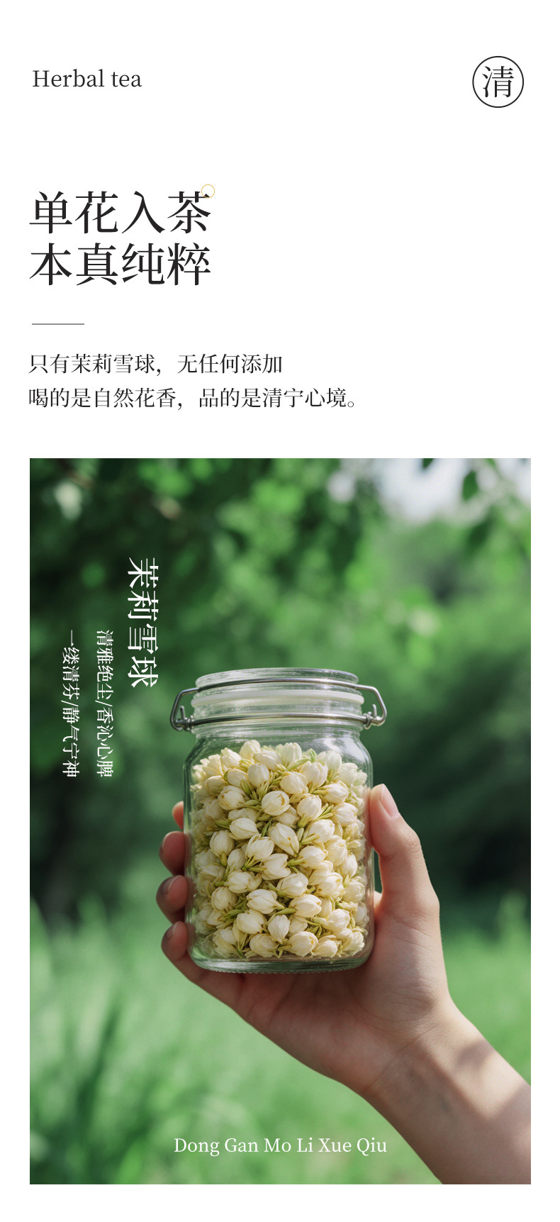 Freeze-Dried Jasmine Snow Ball Mini Canister Tea 10 Canisters Portable Floral Tea Hot Brew key features