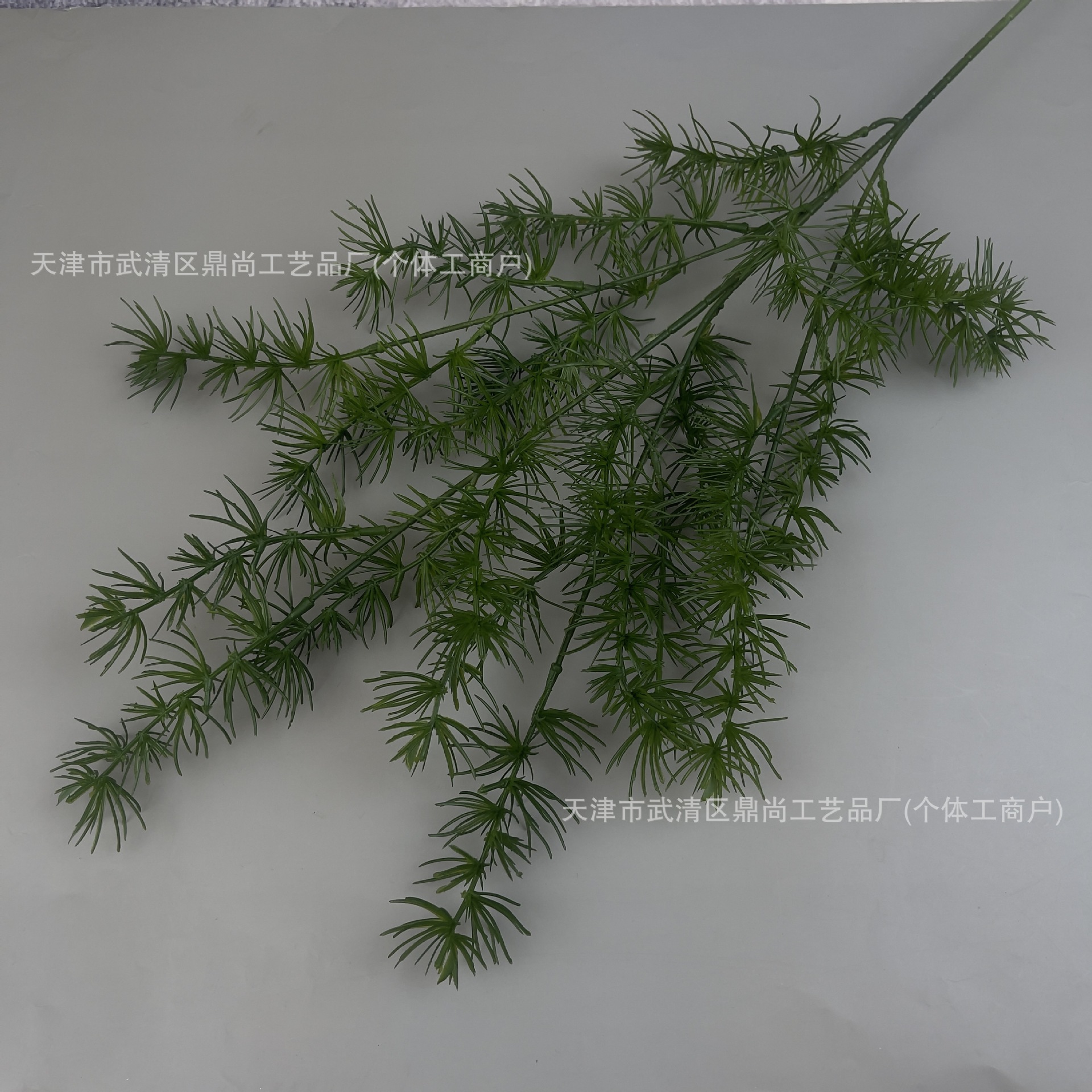 검정색 녹색