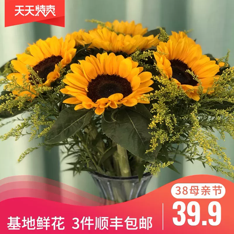 向日葵云南鲜花基地昆明斗南直发批家用向阳花混搭教师节礼品花束