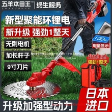 늄ӸݙCôʳʽ늳ݙC¿Сʹo