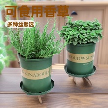 �Ե������Դ�С�����r��ʳ�����ֲ��ţ���������㱡�����K�_���~