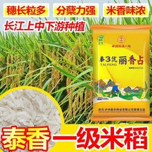 ̩3������ռˮ���N��һ��ˮ���N���s�����|�L���߮a���������ȷN