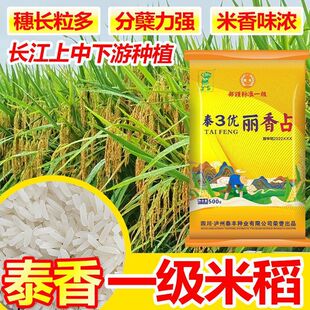 ̩3������ռˮ���N��һ��ˮ���N���s�����|�L���߮a���������ȷN